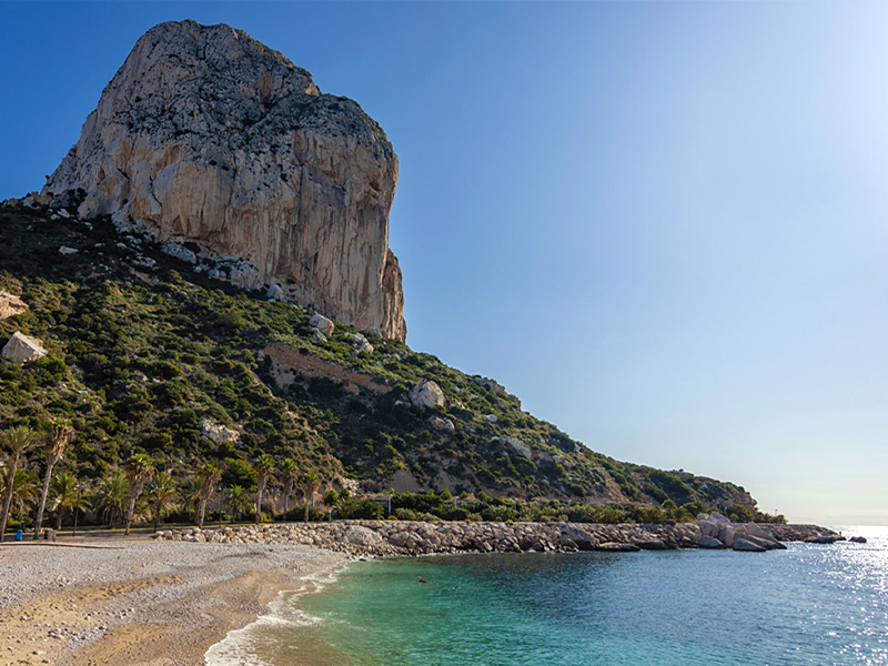 Apartment · New Build · CALP09