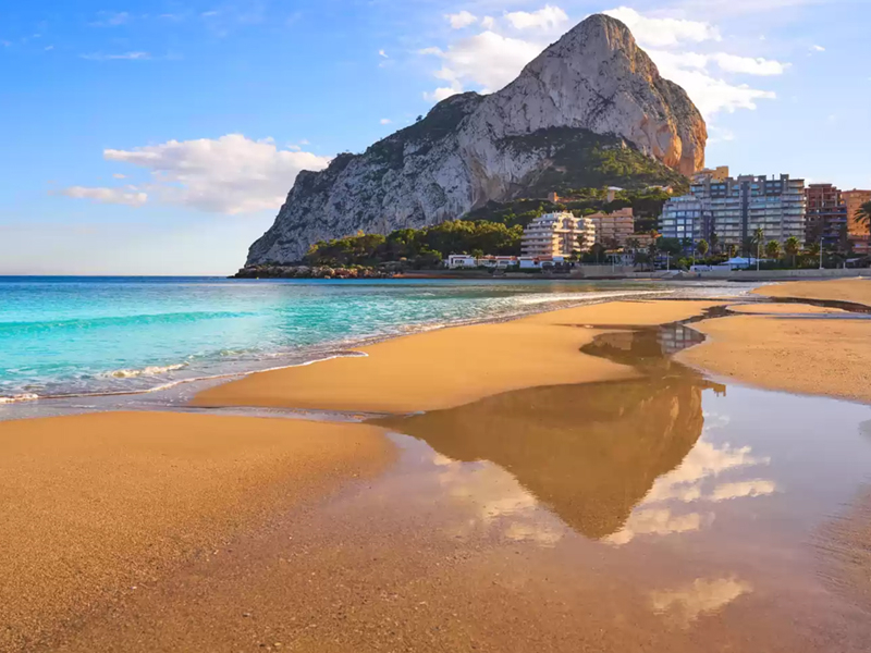 Apartment · New Build · CALP09